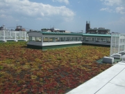 旭ヶ丘小学校視察5